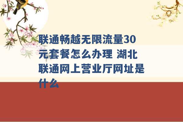 联通畅越无限流量30元套餐怎么办理 湖北联通网上营业厅网址是什么 -第1张图片-电信联通移动号卡网