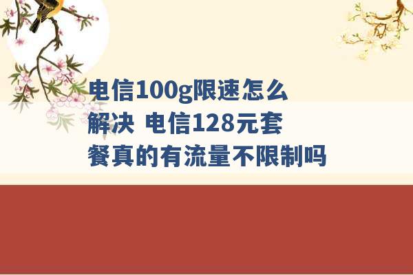 电信100g限速怎么解决 电信128元套餐真的有流量不限制吗 -第1张图片-电信联通移动号卡网