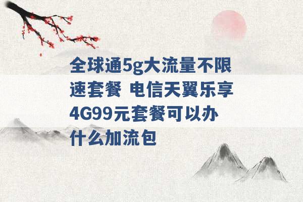 全球通5g大流量不限速套餐 电信天翼乐享4G99元套餐可以办什么加流包 -第1张图片-电信联通移动号卡网