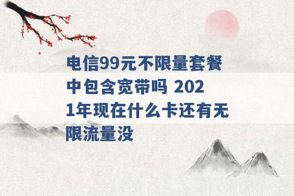 电信99元不限量套餐中包含宽带吗 2021年现在什么卡还有无限流量没 -第1张图片-电信联通移动号卡网