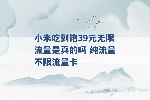 小米吃到饱39元无限流量是真的吗 纯流量不限流量卡 -第1张图片-电信联通移动号卡网