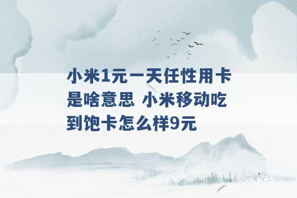 小米1元一天任性用卡是啥意思 小米移动吃到饱卡怎么样9元 -第1张图片-电信联通移动号卡网