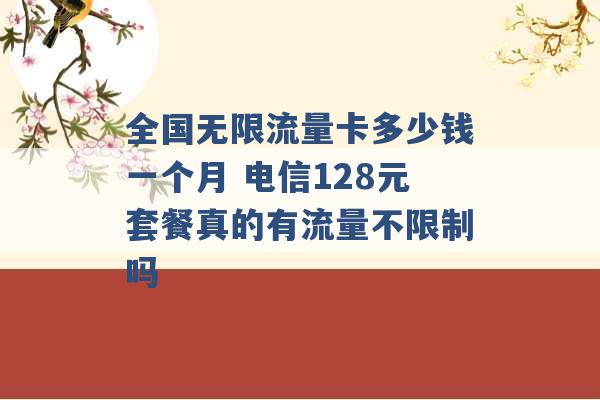 全国无限流量卡多少钱一个月 电信128元套餐真的有流量不限制吗 -第1张图片-电信联通移动号卡网