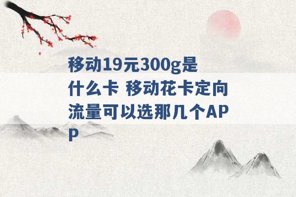 移动19元300g是什么卡 移动花卡定向流量可以选那几个APP -第1张图片-电信联通移动号卡网