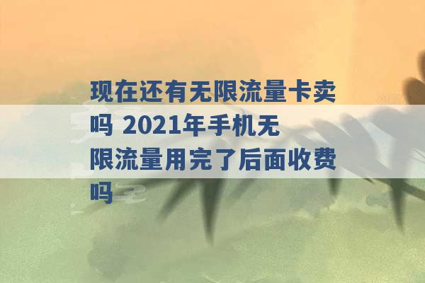 现在还有无限流量卡卖吗 2021年手机无限流量用完了后面收费吗 -第1张图片-电信联通移动号卡网