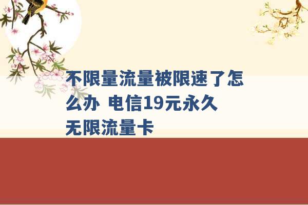 不限量流量被限速了怎么办 电信19元永久无限流量卡 -第1张图片-电信联通移动号卡网