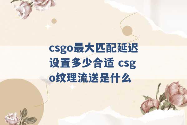 csgo最大匹配延迟设置多少合适 csgo纹理流送是什么 -第1张图片-电信联通移动号卡网