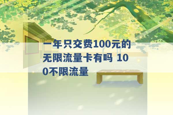 一年只交费100元的无限流量卡有吗 100不限流量 -第1张图片-电信联通移动号卡网