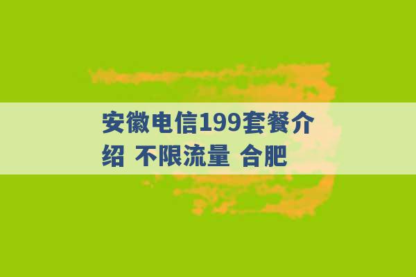 安徽电信199套餐介绍 不限流量 合肥 -第1张图片-电信联通移动号卡网