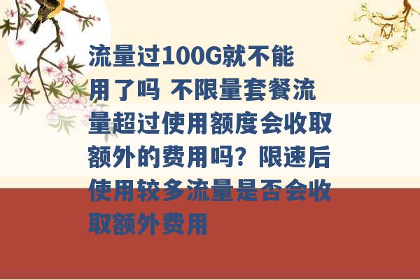 流量过100G就不能用了吗 不限量套餐流量超过使用额度会收取额外的费用吗？限速后使用较多流量是否会收取额外费用 -第1张图片-电信联通移动号卡网