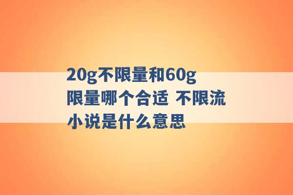 20g不限量和60g限量哪个合适 不限流小说是什么意思 -第1张图片-电信联通移动号卡网