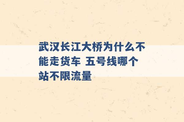 武汉长江大桥为什么不能走货车 五号线哪个站不限流量 -第1张图片-电信联通移动号卡网