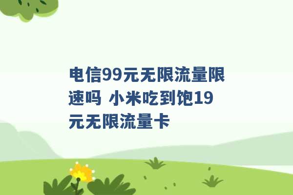 电信99元无限流量限速吗 小米吃到饱19元无限流量卡 -第1张图片-电信联通移动号卡网