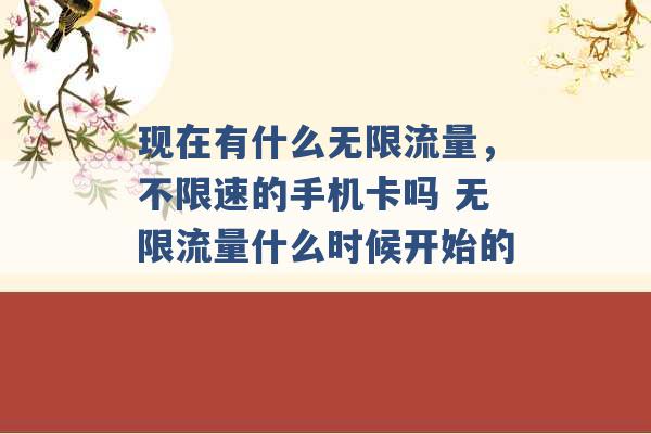 现在有什么无限流量，不限速的手机卡吗 无限流量什么时候开始的 -第1张图片-电信联通移动号卡网