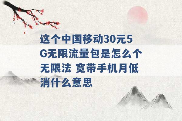 这个中国移动30元5G无限流量包是怎么个无限法 宽带手机月低消什么意思 -第1张图片-电信联通移动号卡网