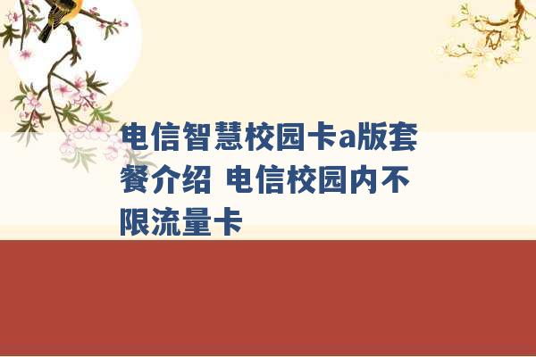 电信智慧校园卡a版套餐介绍 电信校园内不限流量卡 -第1张图片-电信联通移动号卡网