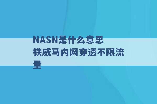 NASN是什么意思 铁威马内网穿透不限流量 -第1张图片-电信联通移动号卡网