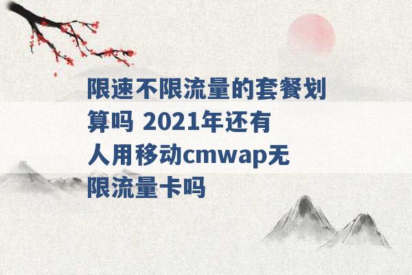 限速不限流量的套餐划算吗 2021年还有人用移动cmwap无限流量卡吗 -第1张图片-电信联通移动号卡网