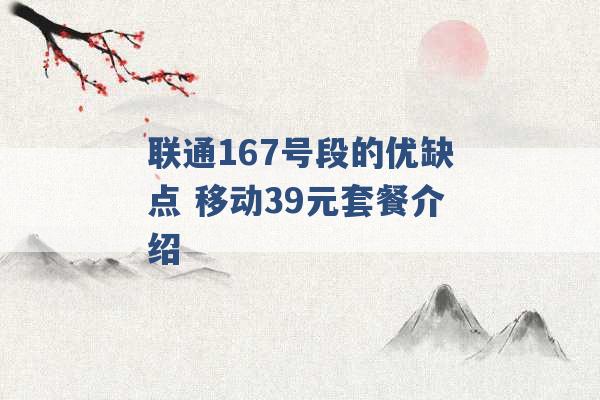 联通167号段的优缺点 移动39元套餐介绍 -第1张图片-电信联通移动号卡网