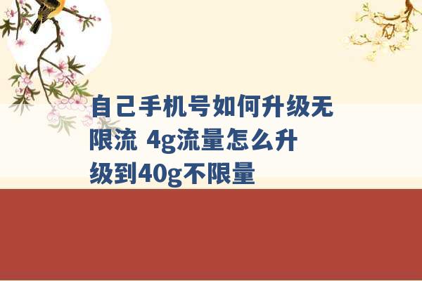 自己手机号如何升级无限流 4g流量怎么升级到40g不限量 -第1张图片-电信联通移动号卡网