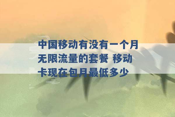 中国移动有没有一个月无限流量的套餐 移动卡现在包月最低多少 -第1张图片-电信联通移动号卡网