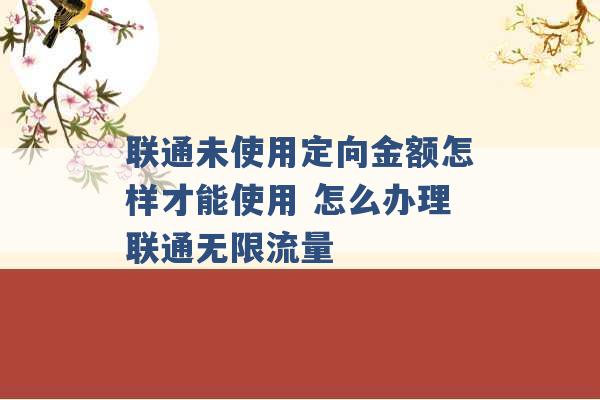 联通未使用定向金额怎样才能使用 怎么办理联通无限流量 -第1张图片-电信联通移动号卡网