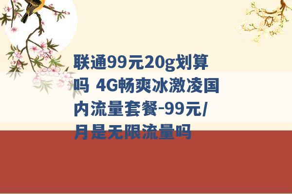 联通99元20g划算吗 4G畅爽冰激凌国内流量套餐-99元/月是无限流量吗 -第1张图片-电信联通移动号卡网