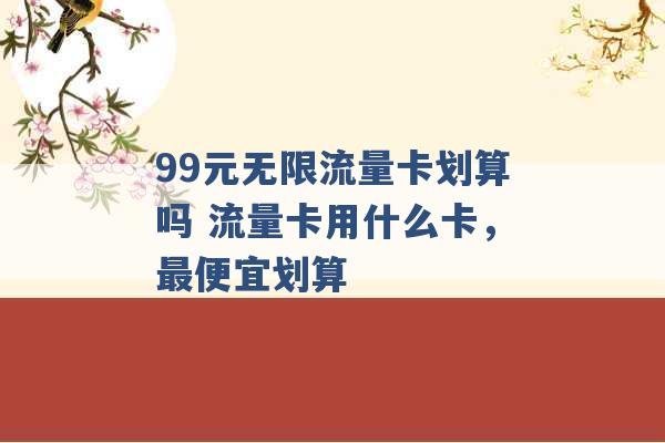 99元无限流量卡划算吗 流量卡用什么卡，最便宜划算 -第1张图片-电信联通移动号卡网