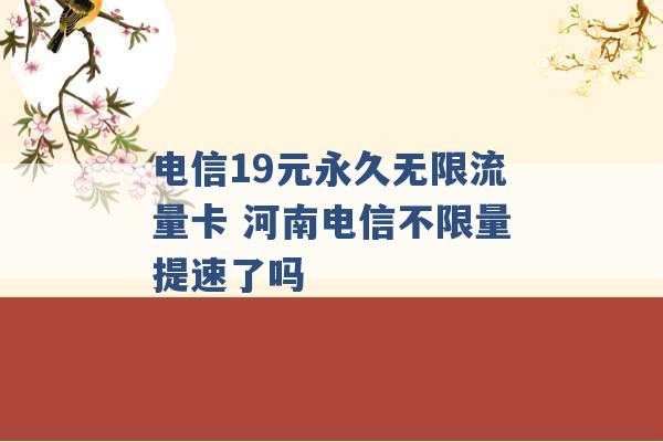 电信19元永久无限流量卡 河南电信不限量提速了吗 -第1张图片-电信联通移动号卡网